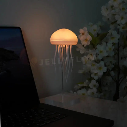 Floating Jellyfish Lamp